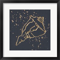 Gold Conch IV Framed Print