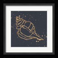 Gold Conch III Framed Print