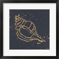 Gold Conch III Framed Print