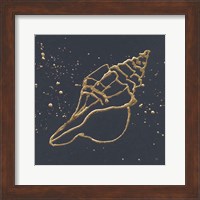 Gold Conch II Fine Art Print