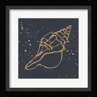 Gold Conch II Framed Print