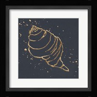 Gold Conch I Framed Print