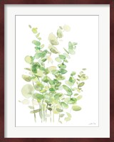 Eucalyptus III Fine Art Print
