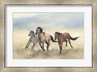 Wild Mustangs Fine Art Print