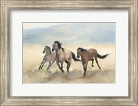 Wild Mustangs Fine Art Print