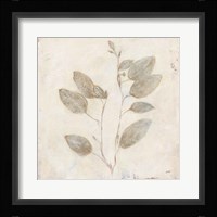 Plantlife II Framed Print