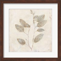 Plantlife II Fine Art Print