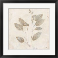 Plantlife II Framed Print