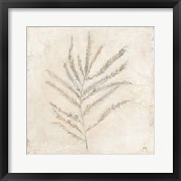Plantlife I Framed Print