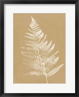 Nature by the Lake Ferns VI Brown Framed Print
