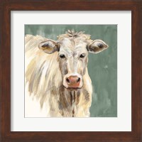 White Cow on Sage Fine Art Print