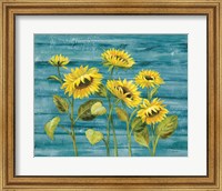 Cottage Sunflowers Teal Fine Art Print