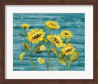 Cottage Sunflowers Teal Fine Art Print