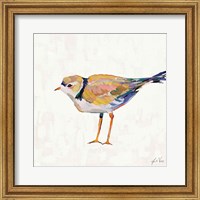 Coastal Plover IV Linen Fine Art Print