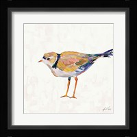 Coastal Plover IV Linen Framed Print