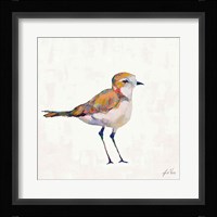 Coastal Plover III Linen Framed Print