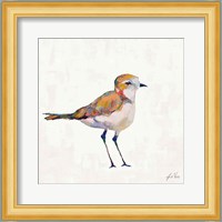 Coastal Plover III Linen Fine Art Print