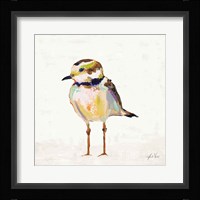 Coastal Plover II Linen Framed Print