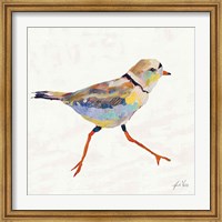 Coastal Plover I Linen Fine Art Print