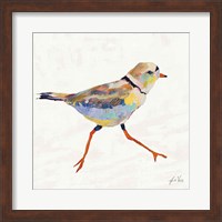 Coastal Plover I Linen Fine Art Print