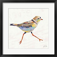 Coastal Plover I Linen Framed Print