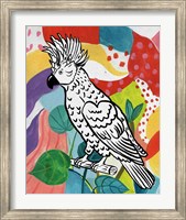Jungle Cockatoo Fine Art Print