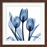 Indigo Tulips Fine Art Print