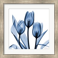 Indigo Tulips Fine Art Print