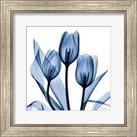 Indigo Tulips Fine Art Print