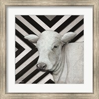 January Cow II Fine Art Print