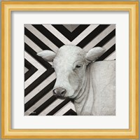 January Cow II Fine Art Print