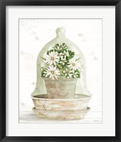 Floral Cloche II Framed Print