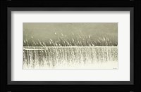 Beach Grass Fine Art Print