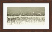 Beach Grass Fine Art Print