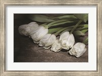 Gathered Tulips Fine Art Print