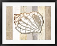 Coastal Shell I Fine Art Print
