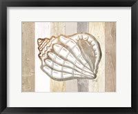 Coastal Shell I Framed Print