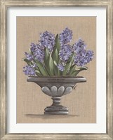 Hyacinth Urn Fine Art Print
