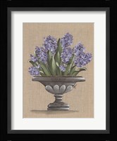 Hyacinth Urn Fine Art Print