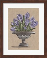 Hyacinth Urn Fine Art Print