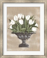 Tulip Urn Fine Art Print