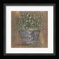 Herb Trio in Pail Framed Print