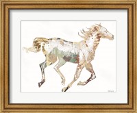 Navajo Horse 1 Fine Art Print