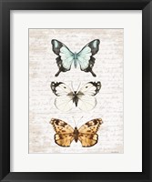 Butterfly Trio Fine Art Print