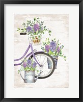 Hyacinth Harvest Fine Art Print