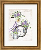 Hyacinth Harvest Fine Art Print