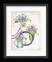 Hyacinth Harvest Fine Art Print