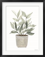 Sage Planter Fine Art Print