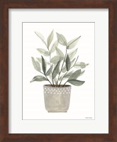 Sage Planter Fine Art Print