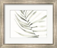 Sage Fern Leaf Fine Art Print